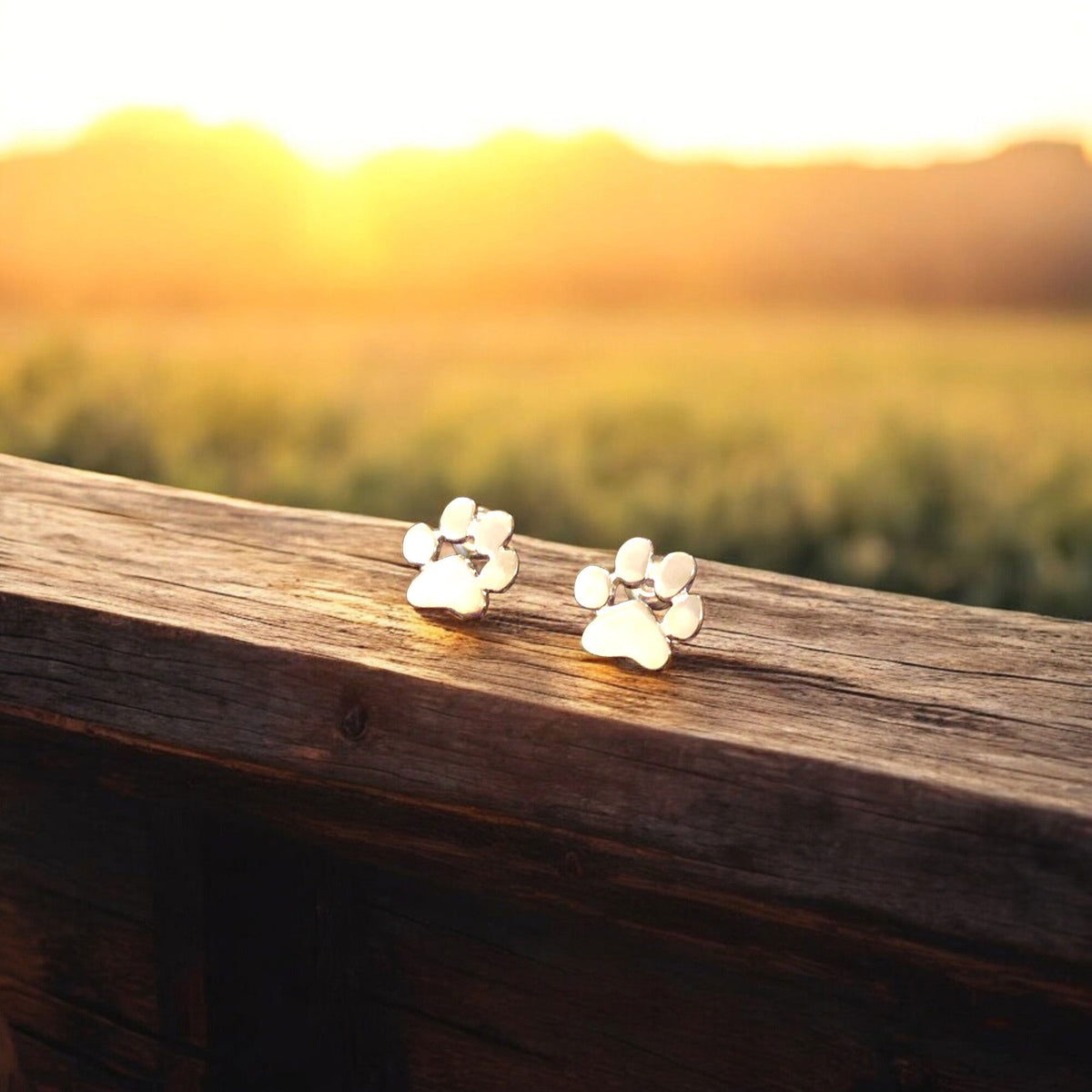 Hypoallergenic Paw Earrings – Made of Stainless Steel
